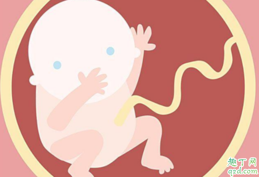 胎兒抖動是在干什么 胎兒抖動是不是缺氧2